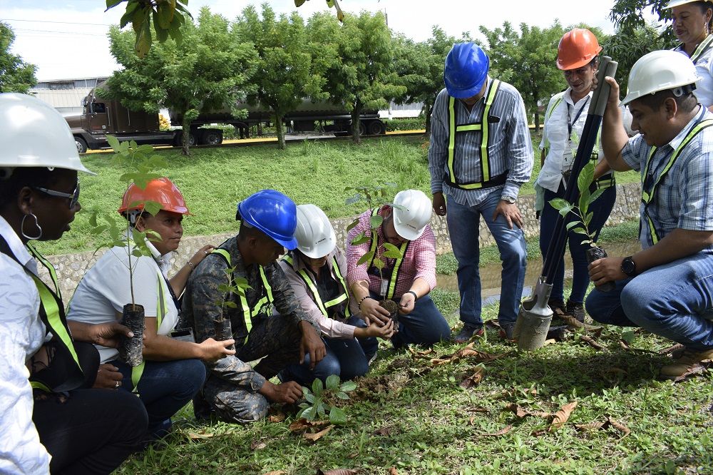 ZOLIC participa en plan de reforestación en Santo Tomás de Castilla