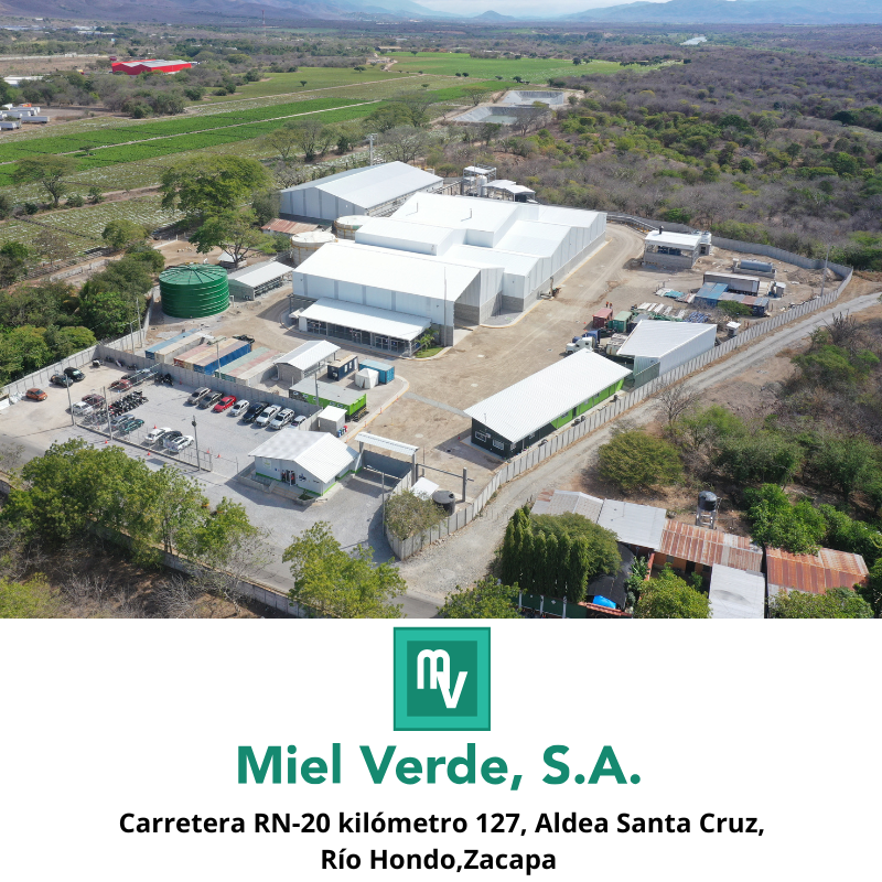 ZDEEP MIEL VERDE